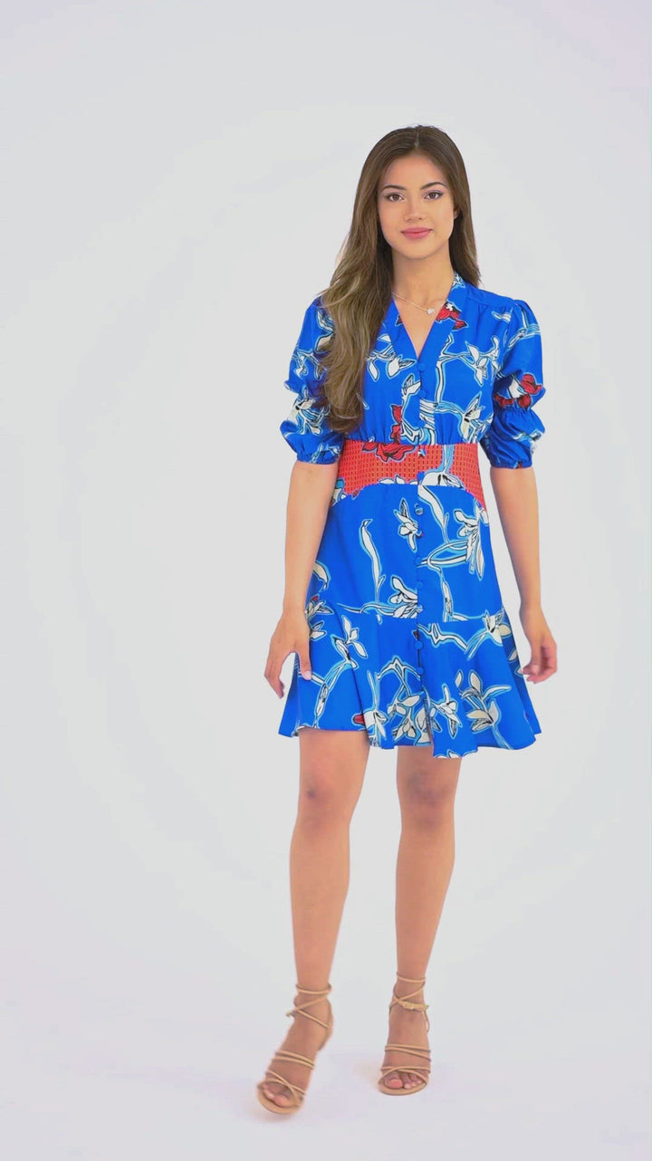 Blue Floral Ruffle Button Front Mini Dress