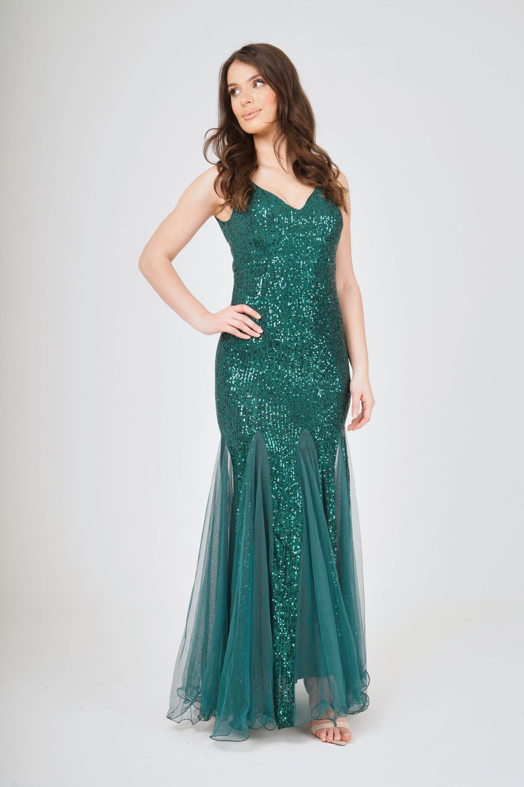 Sequin Mesh Insert Maxi Dress