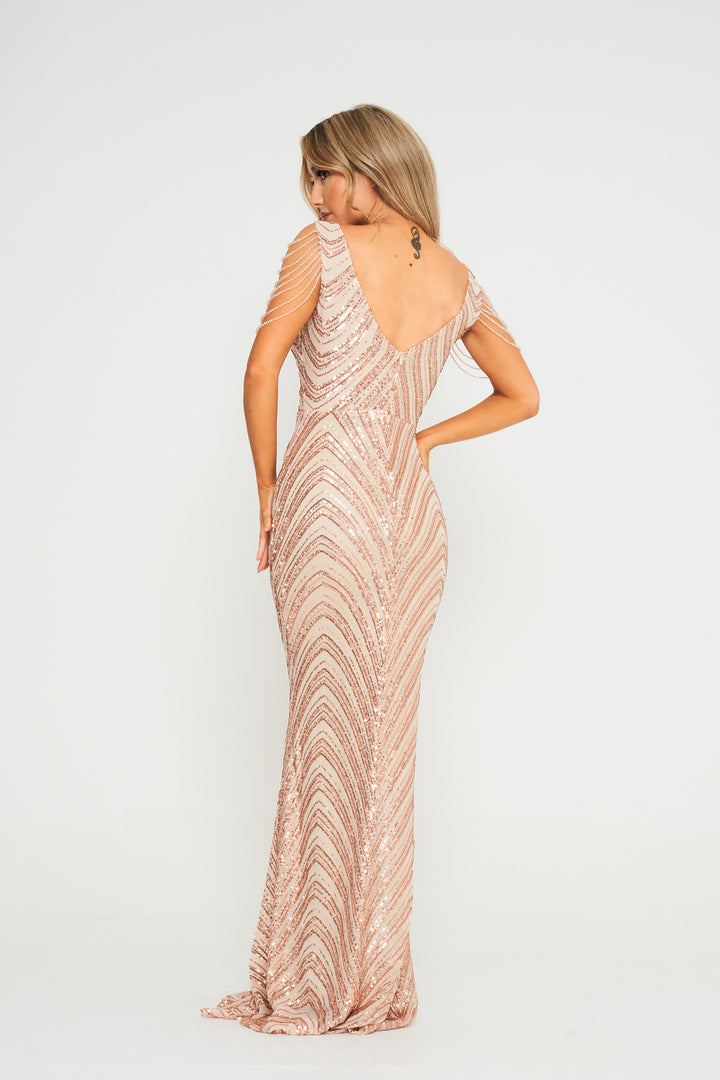 Champagne Jewelled Sleeve Maxi Dress - Back View