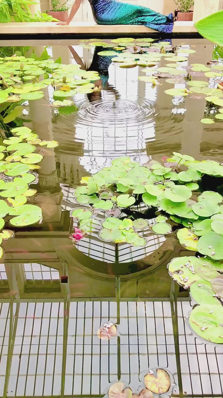 Two-Tone Green & Navy Jewelled Sleeve Sequin Maxi Dress