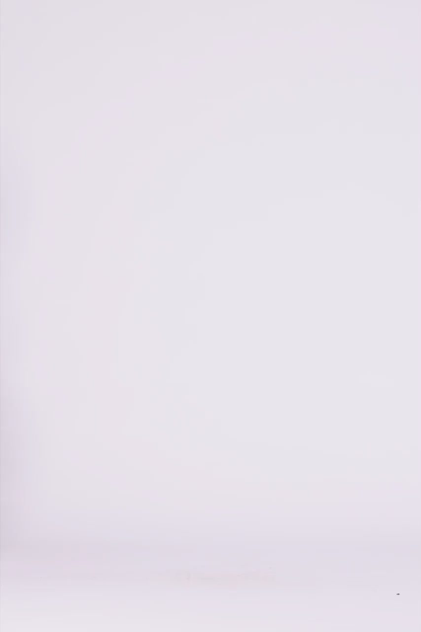 Obsidian Camellia - Black Leaf‑Appliqué Structured Maxi Gown