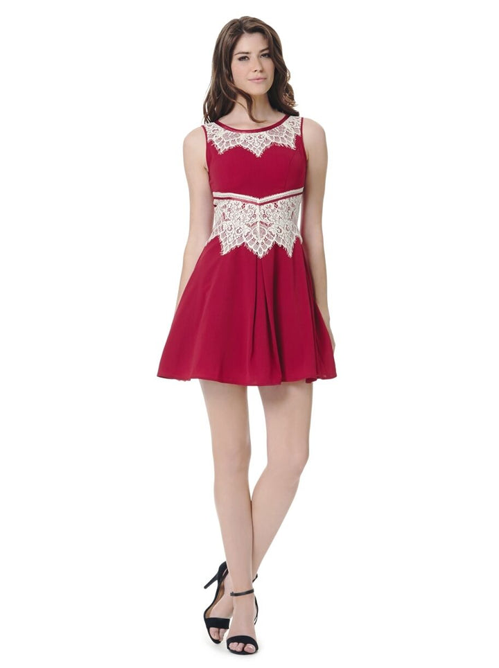 Red Sleeveless Eyelash Lace Skater Mini Dress Front View