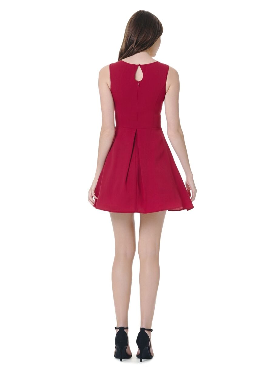 Red Sleeveless Eyelash Lace Skater Mini Dress Back View