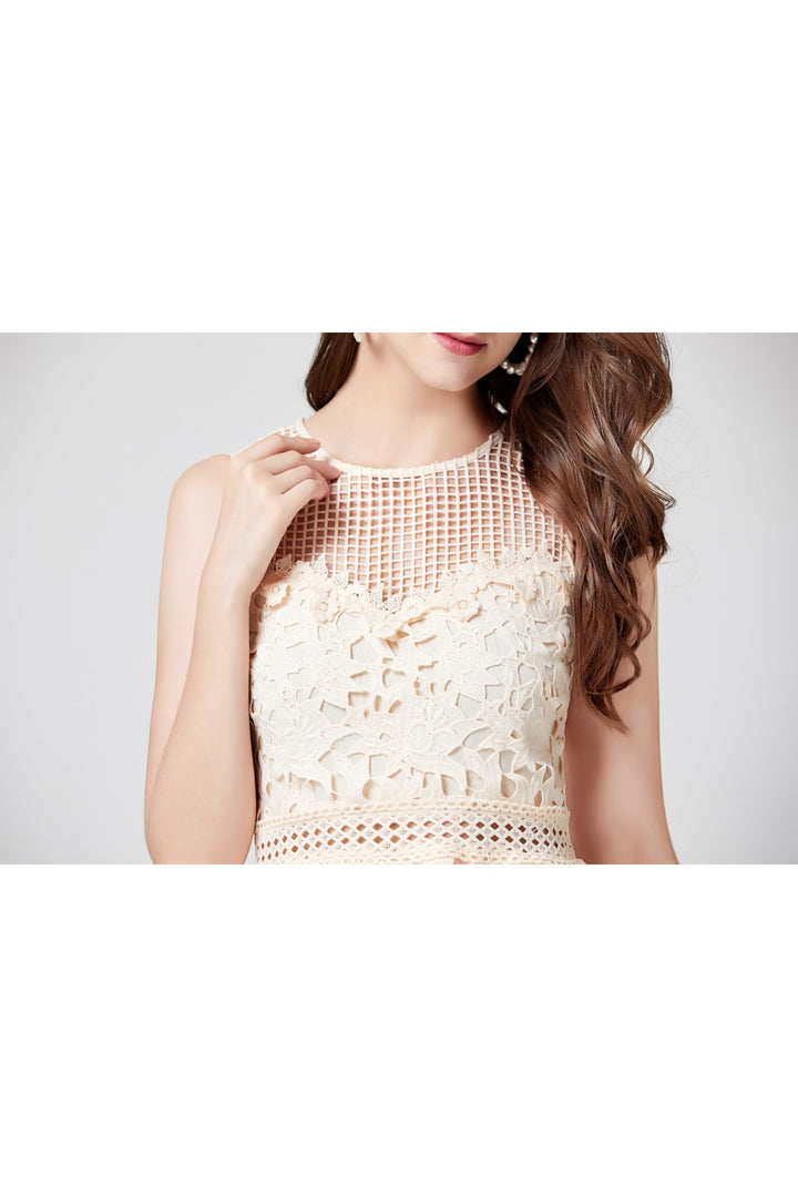 Beige Mini Lace Cutout Dress - Close Up View