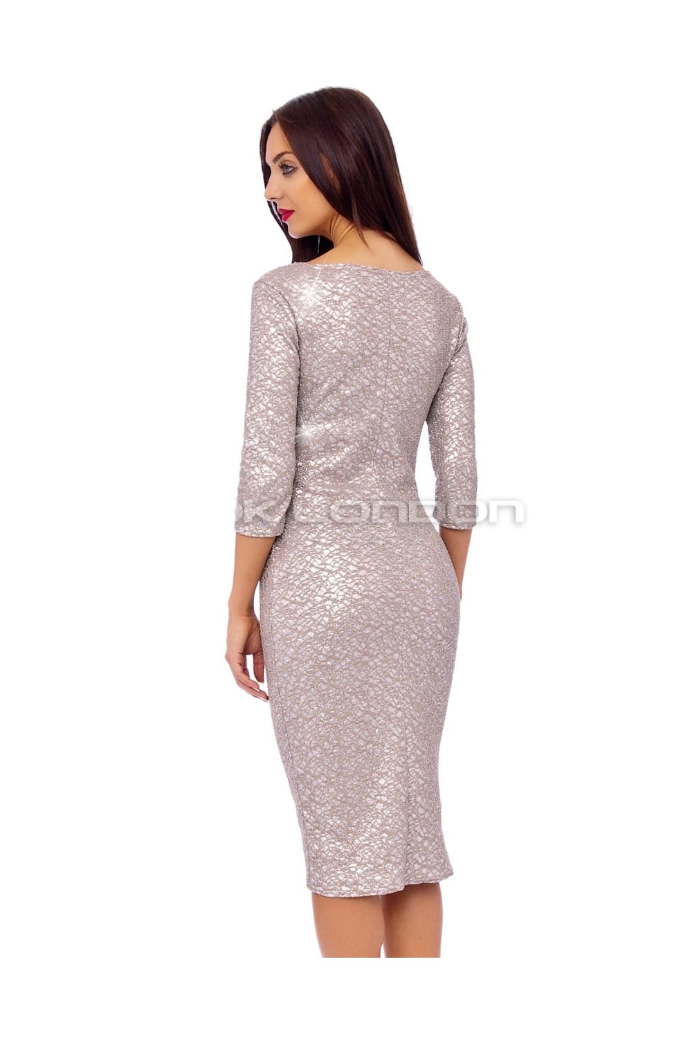 Giltter Lace Overlay Midi Dress in SIlver - Back View